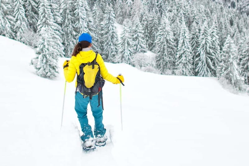 Arctic Gateway: Snowshoeing Expedition in Lapland - Pickup, van ride, and getting ready without stress