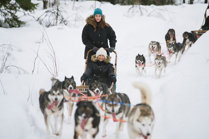 Arctic Husky Adventure in Rovaniemi - Rovaniemi Husky Safari: What the 2.5 Hours Really Includes