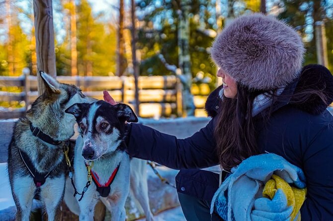 Arctic Husky Adventure in Rovaniemi - Your Sleigh Ride: Self-Driving, 7 to 10 km, and Switching Roles