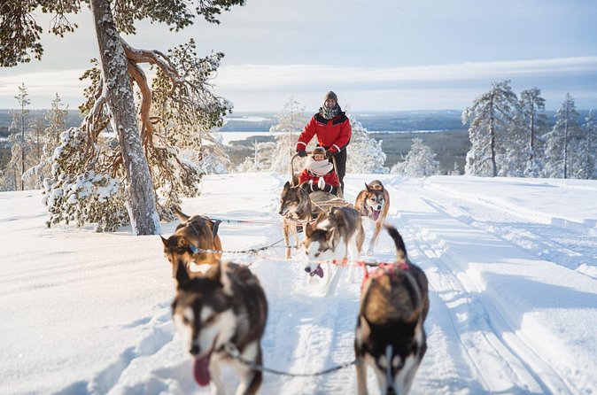 Arctic Husky Adventure in Rovaniemi - What’s Included, and What You Still Need to Plan for