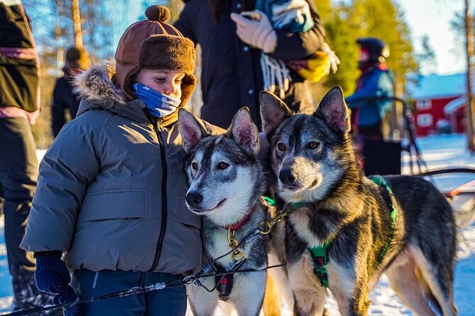 Arctic Husky Adventure in Rovaniemi - Value Check: Is $239.10 Worth It?