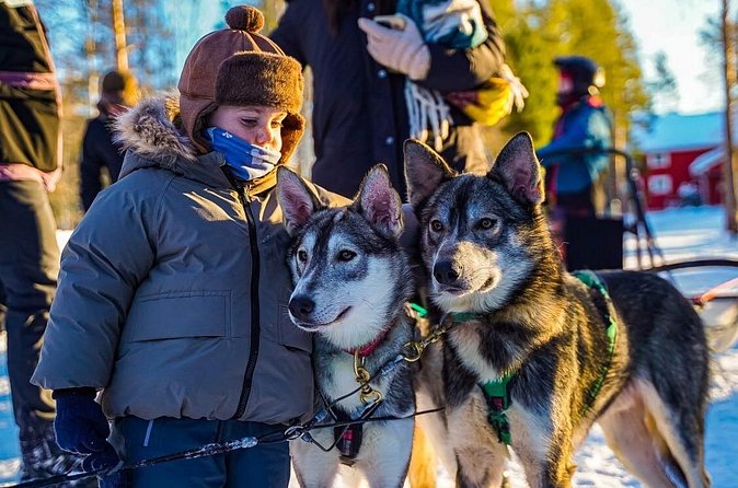 Arctic Husky Adventure in Rovaniemi - Small Notes That Improve Your Day (Real-World Tips)