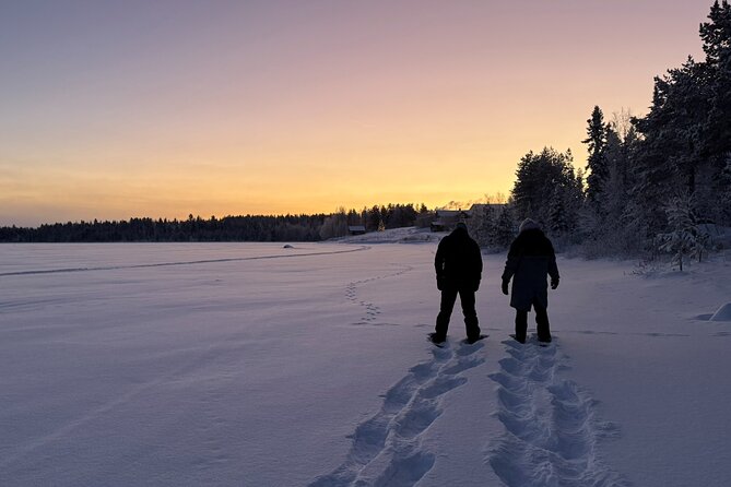 Arctic Reindeer Farm Experience with Snowshoeing in the Wild - The reindeer farm: feeding, touching, and learning how the year works