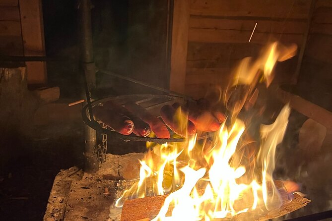 Arctic Reindeer Farm Experience with Snowshoeing in the Wild - Value And What You Get For $204.93 Per Person