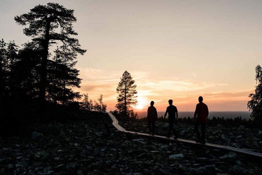 Arctic Wilderness Hike from Rovaniemi (Day & Evening) - Arctic wilderness hike in Rovaniemi, in 5 quick hits
