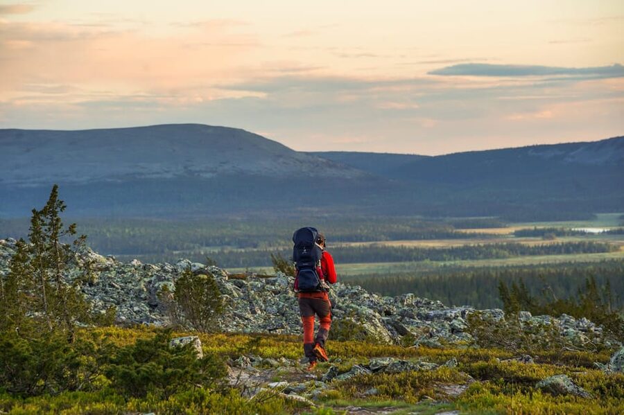 Arctic Wilderness Hike from Rovaniemi (Day & Evening) - Small-group energy: why max 8 people matters