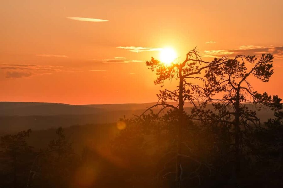 Arctic Wilderness Hike from Rovaniemi (Day & Evening) - Getting to the trail: location, timing, and why pickup matters