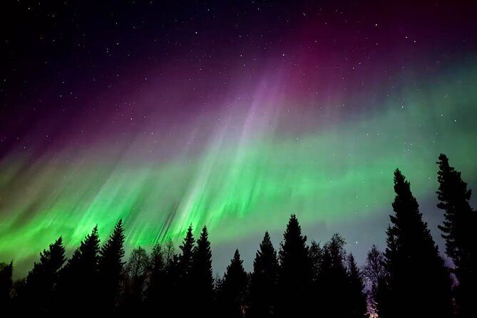 Aurora BBQ in the Private Place in Rovaniemi - Key Points You’ll Care About