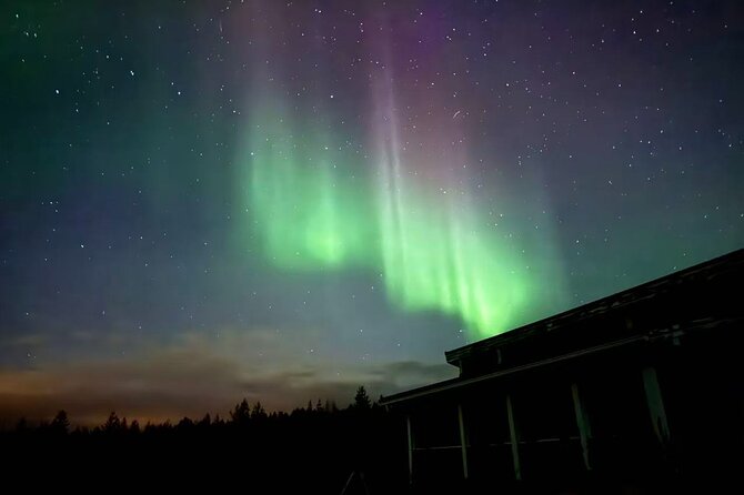 Aurora BBQ in the Private Place in Rovaniemi - Guide Style: From Explaining the Sky to Helping With Photos