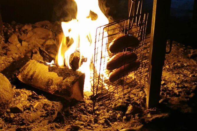 Aurora BBQ in the Private Place in Rovaniemi - Timing Choices: Two Departure Times and a Realistic Evening Plan