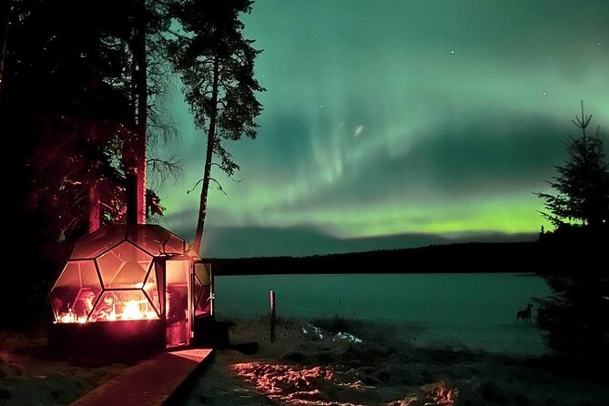 Aurora Borealis Dinner in a Glass Igloo - Rovaniemi nights: the glass igloo advantage