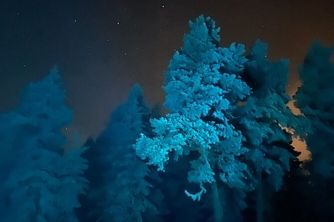 Aurora Borealis Dinner in a Glass Igloo - Aurora Borealis chasing with a guide, not just a plan