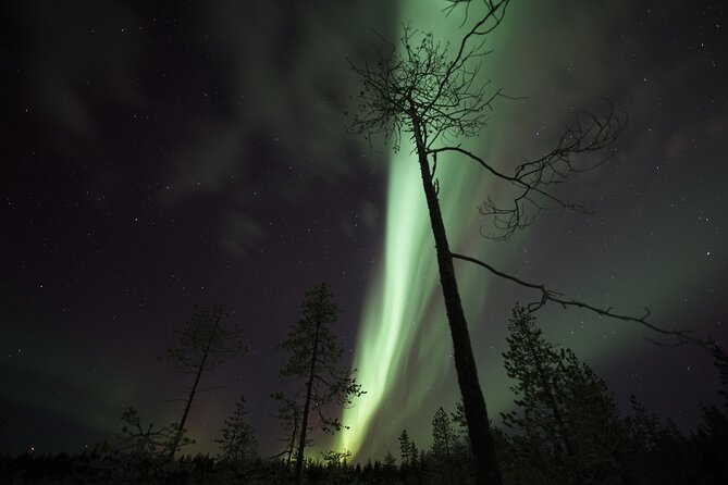 Aurora Borealis Picnic in Rovaniemi - Warm Clothing and a Lappish Picnic That Keeps You Busy