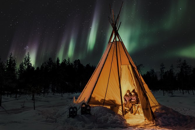 Aurora Borealis Picnic in Rovaniemi - Northern Lights Watching: Your Guide’s Role When the Sky Is Moody