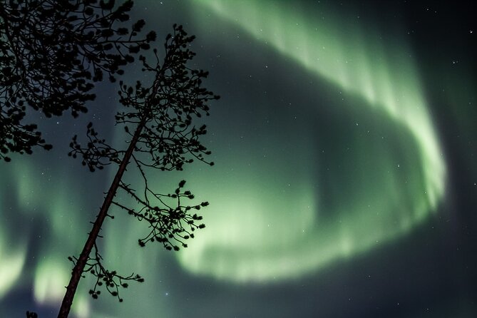 Aurora Borealis Picnic in Rovaniemi - Who This Is Best For (and Who Might Prefer Another Plan)