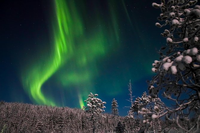 Aurora Borealis Picnic in Rovaniemi - Meeting at Safartica: Where It Starts and What You Should Plan
