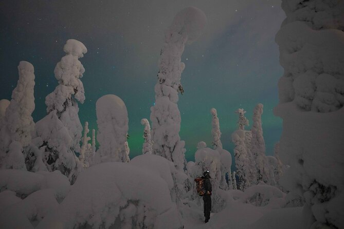 Aurora Borealis Snowshoeing Adventure by Night from Rovaniemi - Key Highlights Worth Your Attention