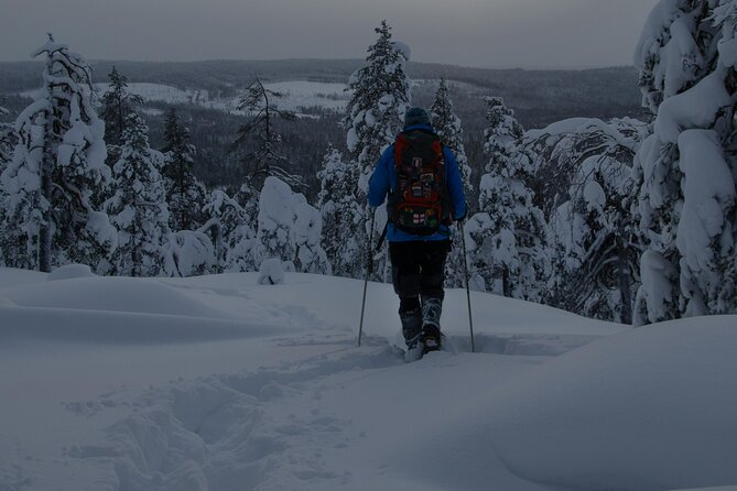 Aurora Borealis Snowshoeing Adventure by Night from Rovaniemi - Night Snowshoeing in Rovaniemi, What You’re Really Signing Up For