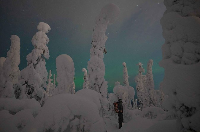 Aurora Borealis Snowshoeing Adventure by Night from Rovaniemi - What You Get, What You Must Bring (Winter Clothes and Boots)