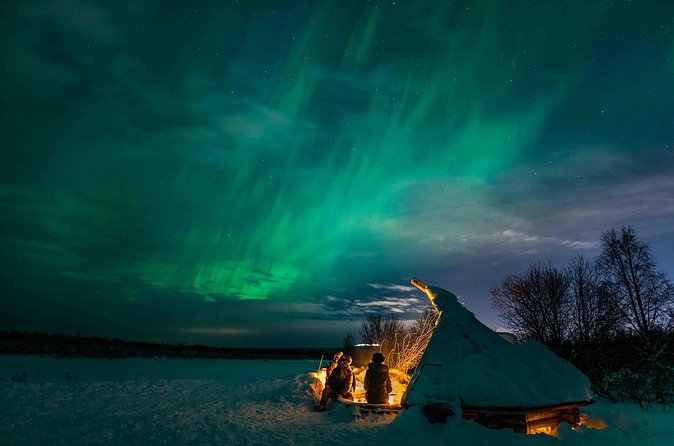 Aurora Borealis Snowshoeing Adventure by Night from Rovaniemi - Wildlife on Snow, What You Might Hear or See