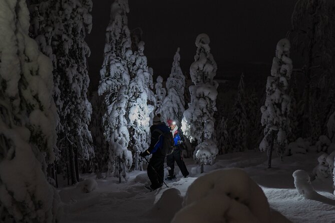 Aurora Borealis Snowshoeing Adventure by Night from Rovaniemi - Timing and Small Group Size, Why 3 Hours Feels Just Right