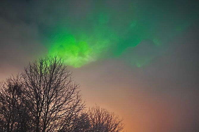 Aurora Hunt with BBQ in Rovaniemi - Pickup, timing, and the Santa Claus Village connection