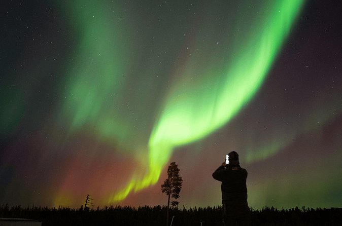 Aurora Hunting by Minivan in Ivalo, Inari or Saariselkä - Stop 2: The Warm Hut Break With Sausages and Hot Drinks