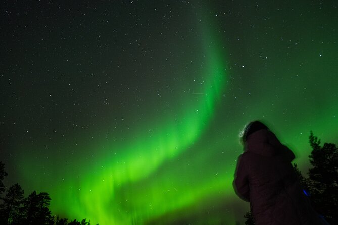 Aurora Hunting by Minivan in Ivalo, Inari or Saariselkä - Stop 3: Head Back While Still Searching the Sky