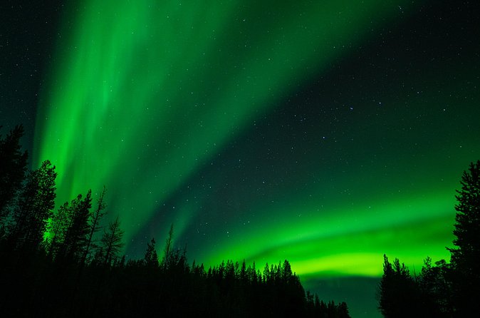 Aurora Hunting by Minivan in Ivalo, Inari or Saariselkä - The Hosts, Johanna and Niilo, and Why People Love the Feeling