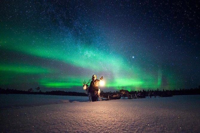 Aurora Hunting by Reindeer Sleigh - Key highlights to know before you go
