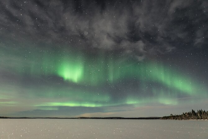 Aurora Hunting Photo Tour from Rovaniemi with Pickup - The bus, the cold, and why the small details matter