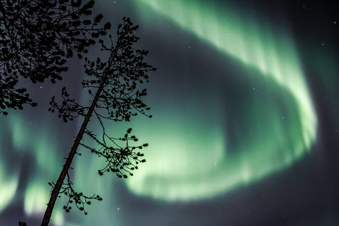 Aurora Hunting Photo Tour from Rovaniemi with Pickup - The 4-hour rhythm: what you will do during the night