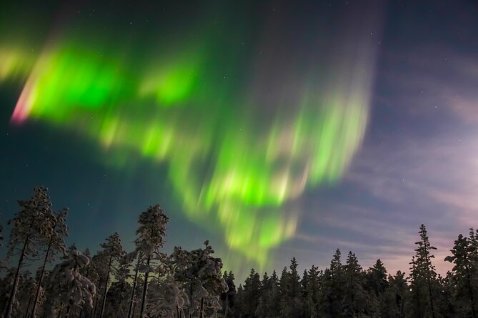 Aurora Photo Experience by Car from Saariselkä - Key highlights you should care about
