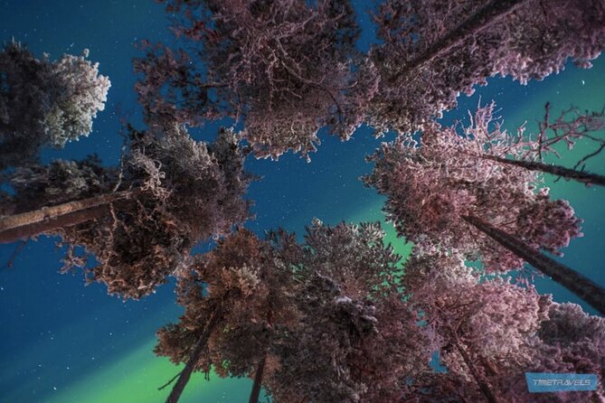 Aurora Photography Tour 3 HOURS - Staying comfortable and making photos possible in deep winter