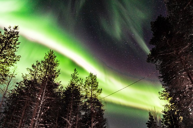 Auroras in Saariselkä – Northern Lights Photo Tour by Car and on Foot - Starting at Lapland Welcome Safari Office: where you get ready to move