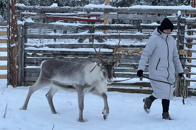 Authentic Reindeer Experience and Ice Fish with Lunch in the Wild - Soma Hideout lunch: warming up with fish soup in a cabin