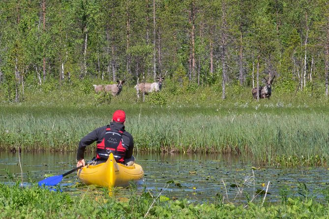 Authentic Reindeer Farm and Canoe Experience from Rovaniemi - Visiting a Traditional Reindeer Farm by a Peaceful Lake