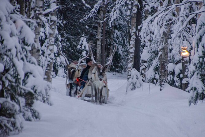 Authentic Reindeer Farm Experience in Rovaniemi - The sleigh-driving practice: 400 meters on snow, and yes, you control it