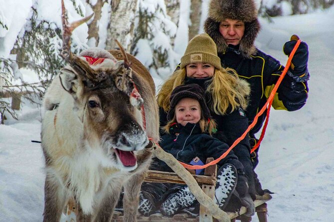 Authentic Reindeer Farm Experience in Rovaniemi - Tea and cookies in a traditional hut, how the warmth fits the day