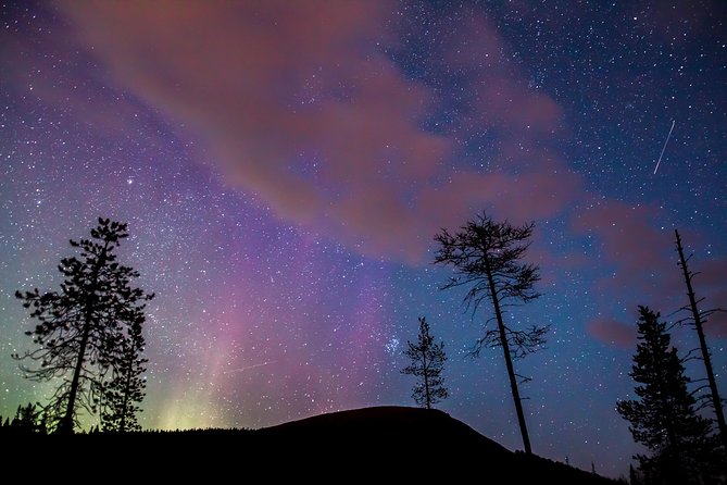 Autumn Aurora Borealis Picnic in Rovaniemi - Why this Safartica aurora picnic is worth your time and $122