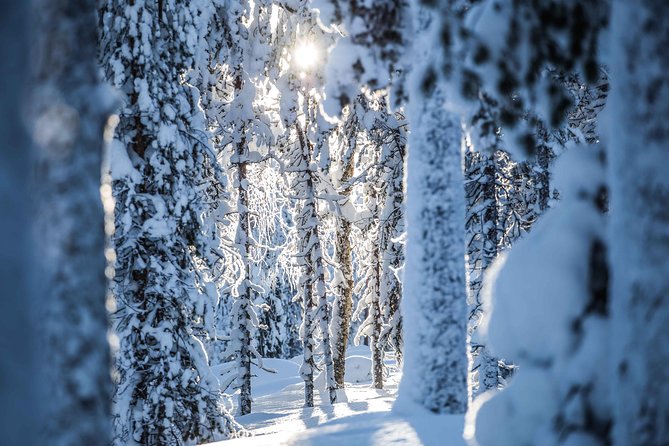 Backcountry skiing adventure - Group size and who this tour suits best