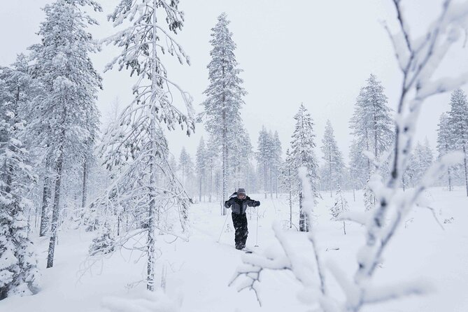Backcountry skiing adventure - The 3 to 4 hour rhythm: pick-up, forest arrival, and a warm shelter reset