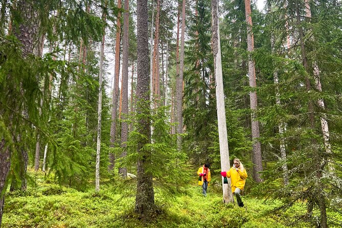 Berry Picking in a National Park - Getting around Helsinki without the hassle