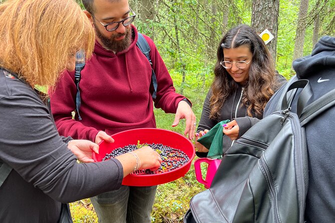 Berry Picking in a National Park - Sustainability and small-group impact you can feel