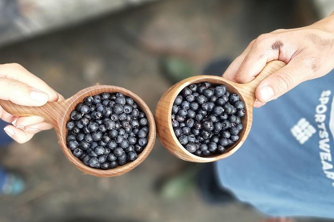 Berry Picking in a National Park - What to pack so the day stays comfortable
