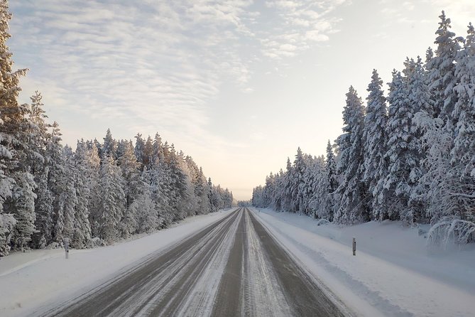 Best Of Lapland: Sauna, Ice swimming, Dinner & Northern Lights - Smoked salmon dinner by open fire