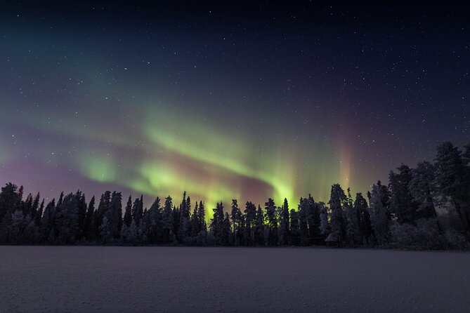 Best Of Lapland: Sauna, Ice swimming, Dinner & Northern Lights - Group size, guides, and how the night stays friendly