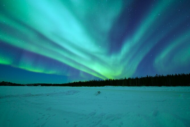 Chasing Aurora with Photographer - Small Group - Warm Break With Lappish Sausages and Hot Drinks by Open Fire