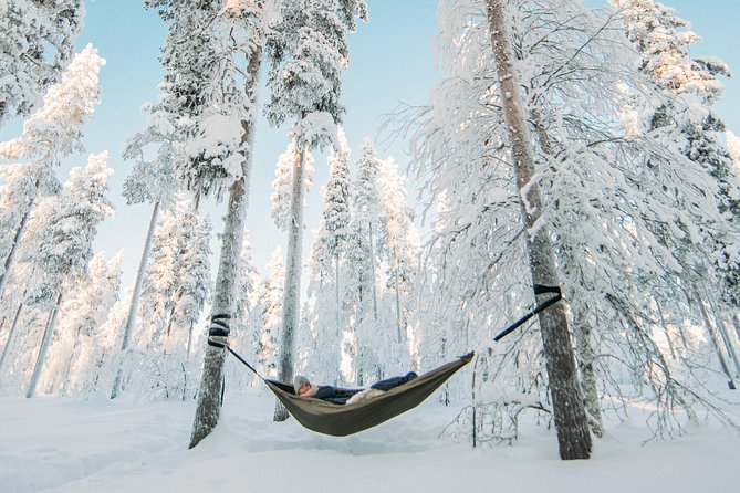 Cocooning in the HaliPuu forest: The ultimate Arctic hammock relaxation - Why Hammock Cocooning Works in Levi’s HaliPuu Forest