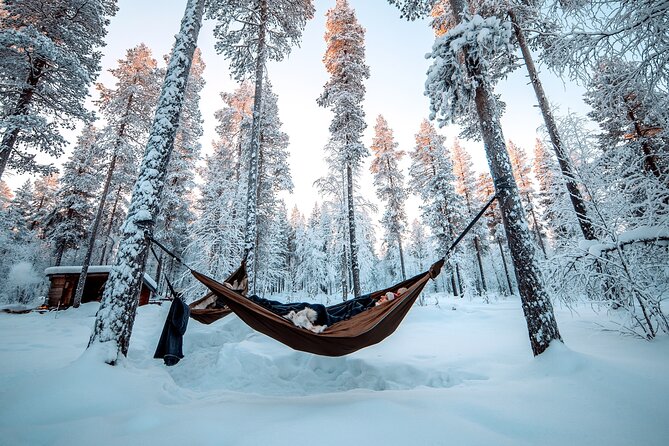 Cocooning in the HaliPuu forest: The ultimate Arctic hammock relaxation - Veitservasa Walk: Old Woodlands and Real Stories